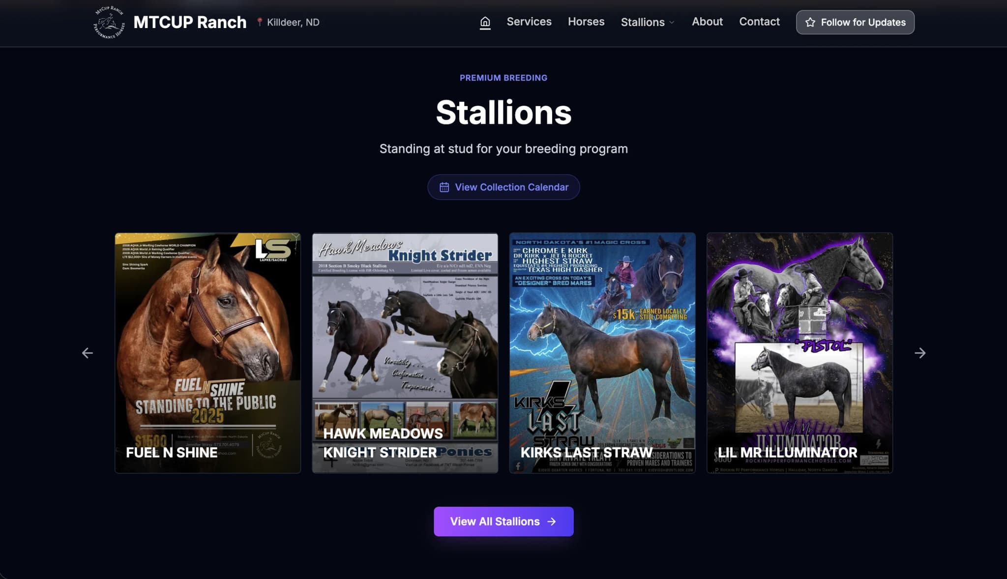 MtCup Ranch stallions listing