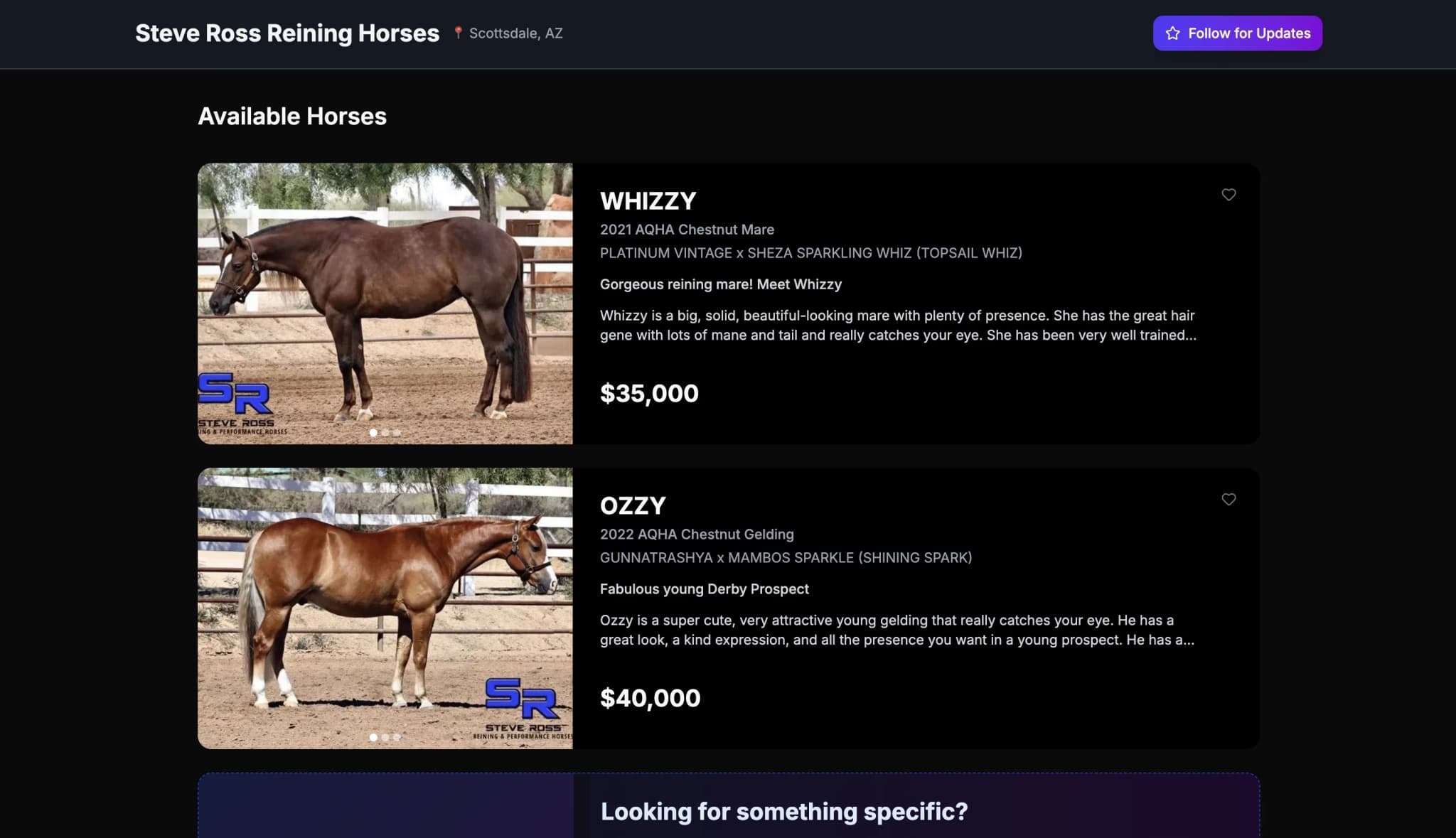 Steve Ross Reining Horses listings
