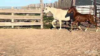 FLINGINRICHLOVE - Video 3