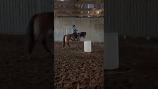 PADDYS SUGARNHONEY - Video 8