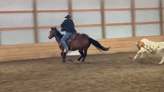 OBRYANS BIG TIMBER - Video 3