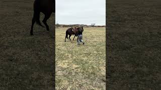 IMA HICKORY CAT - Video 14