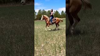 LIGHTNING DOLLY SN - Video 7