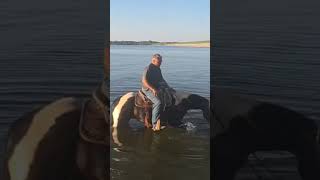 BUGSY - Video 6