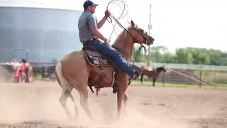 DEL SHINER - Video 2