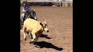 CS CARTEL ATTRACTION - Video 9