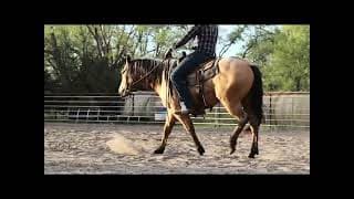 EYEM A BO JO JACK - Video 2
