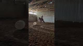 PADDYS SUGARNHONEY - Video 15