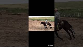 MM SUENOSFAME - Video 5
