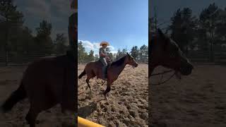 PADDYS SUGARNHONEY - Video 11