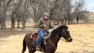 KLH IRISH PAR BAR - Video 2