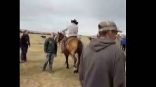 KLH SMOOTH WHISKEY - Video 4