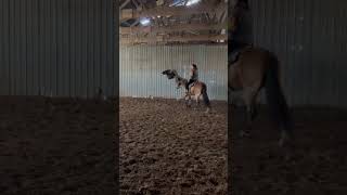 PADDYS SUGARNHONEY - Video 9