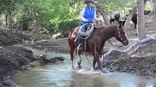 RIVERBOTTOM RALPHIE - Video 2