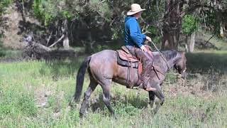 DUNNIT STAR - Video 6