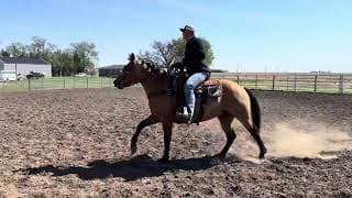 FR WILY ROX - Video 2