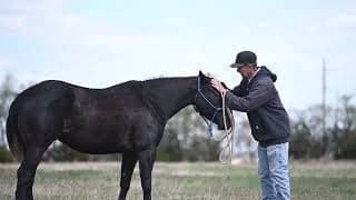 BOON BOUDREAUX - Video 2
