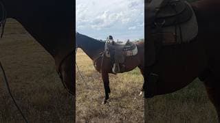 CRI TWO EYED TWO SOX - Video 3