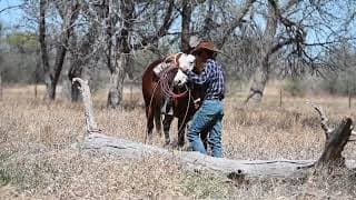 SHEILA - Video 2