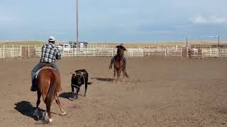 MJH STOLI THE CASH - Video 2