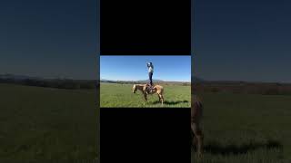 GENUINE JACKIE ROO - Video 2