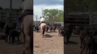 BARNIE - Video 4
