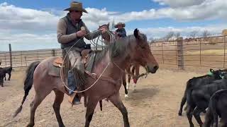JACK N SHINE - Video 6