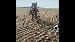PEPPYS ONLY LEO - Video 3