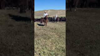 SAN MANS FOXY BAR - Video 2