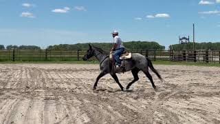 RS REDMOUNT DEL RIO - Video 3