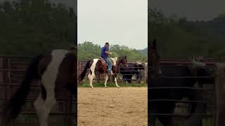 BUGSY - Video 12
