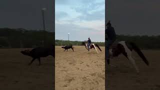 BUGSY - Video 11
