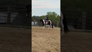BUGSY - Video 13