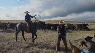 PT EDDIEST MICAH BLUE - Video 7