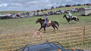 RECO - Video 2