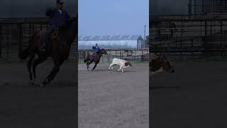 STORMY BLUES AWH - Video 2