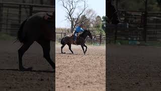 SMC HANDSOME VENTURE - Video 3