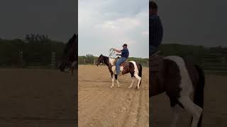 BUGSY - Video 14