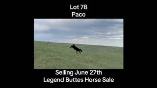 BNZ STRAIT PACO LENA - Video 2