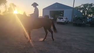 TOPSAIL STREAKN MOON - Video 2