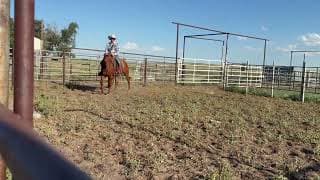 PK C ALIBATS - Video 2