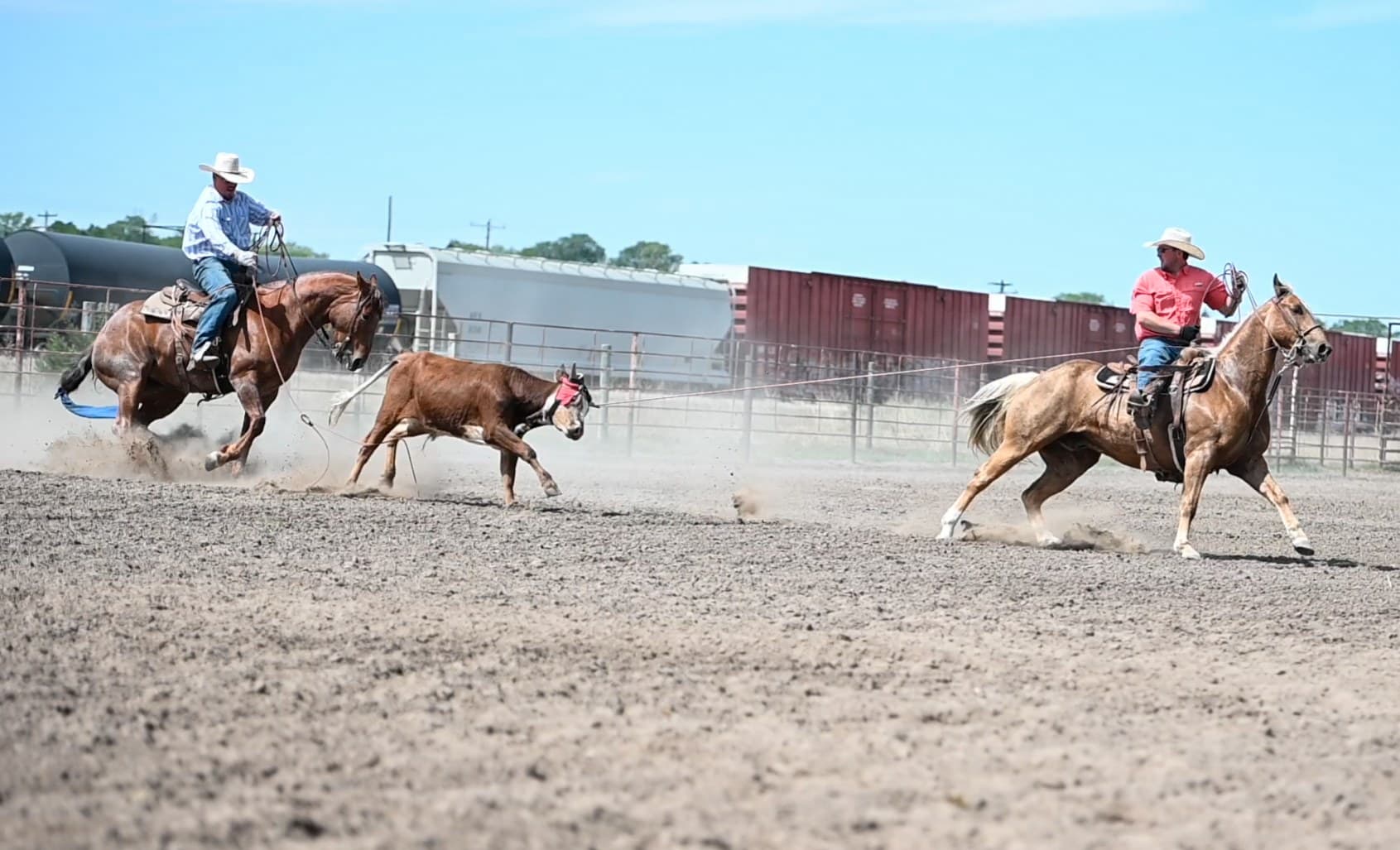 BRODY - Image 6