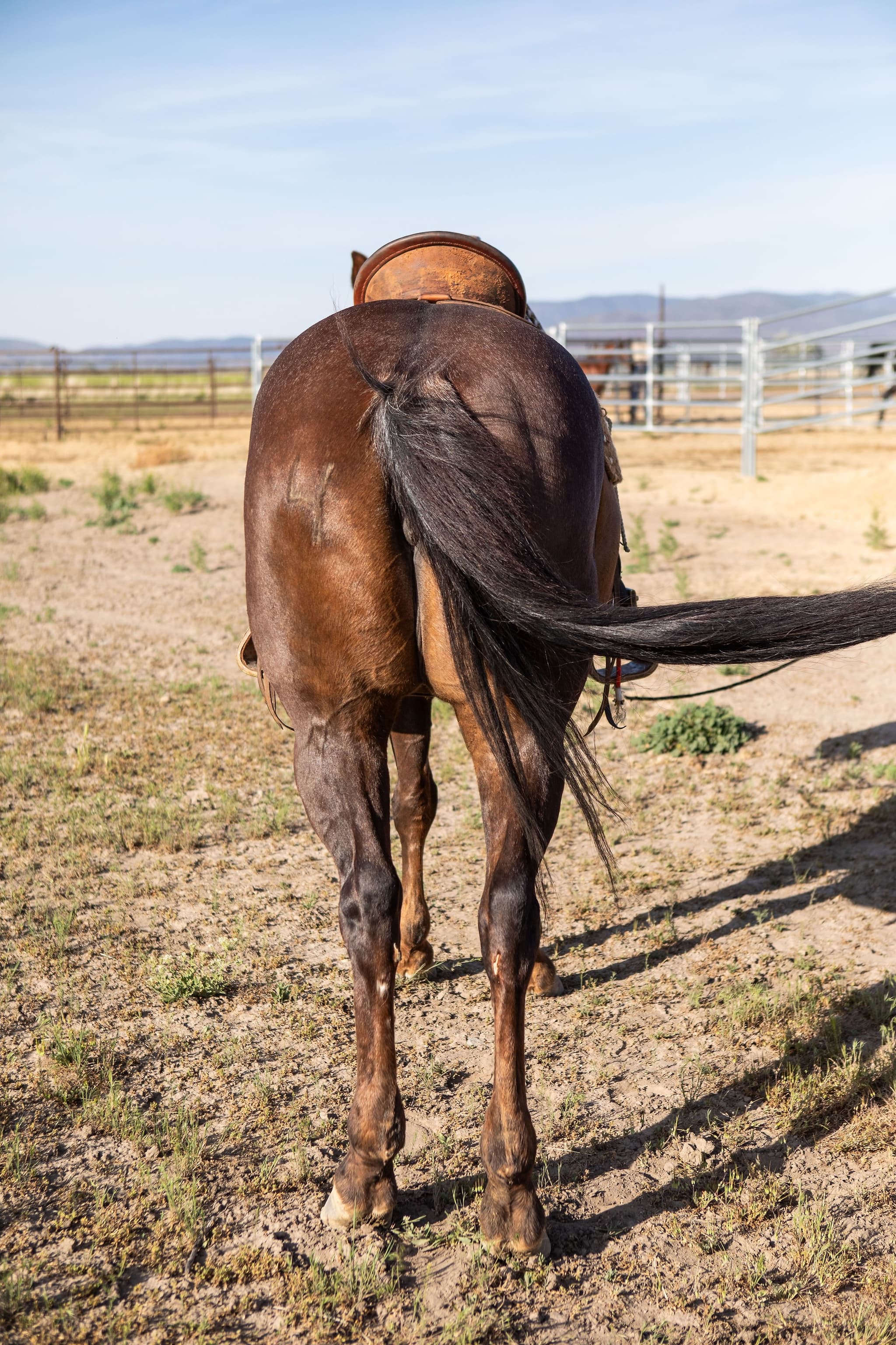 ROYAL TEXAN BOONIE - Image 12