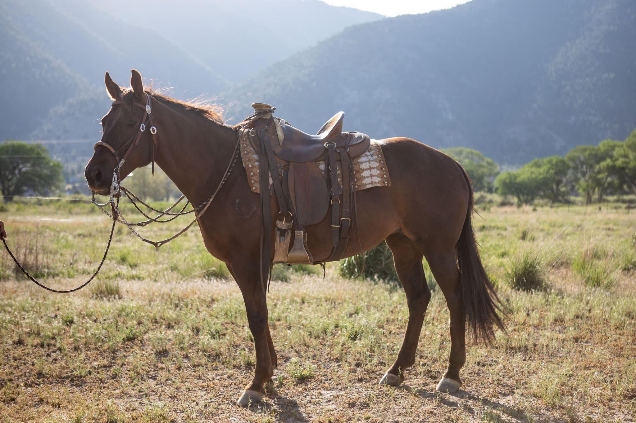 ROYAL TEXAN BOONIE - Image 1