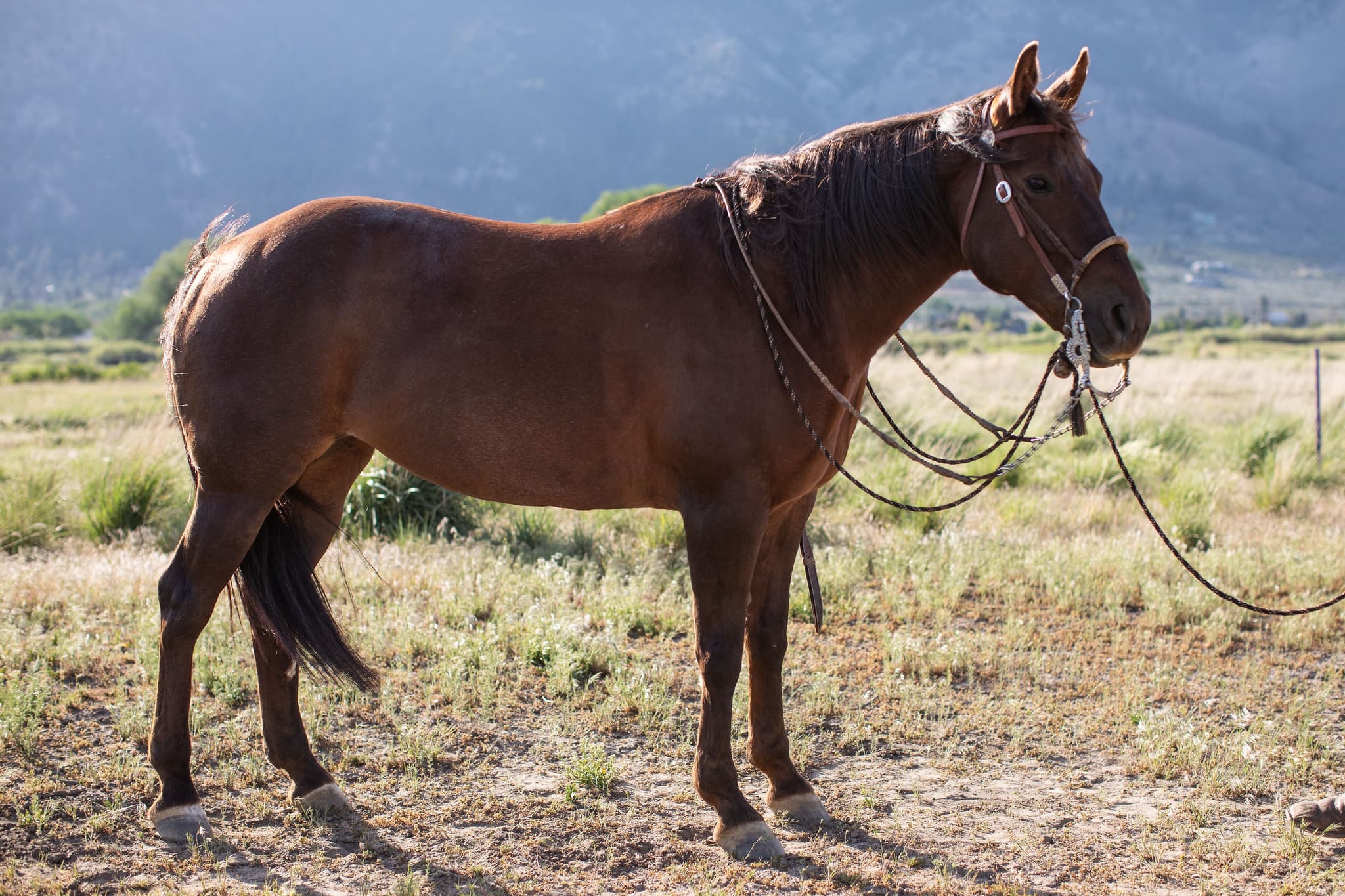 ROYAL TEXAN BOONIE - Image 9