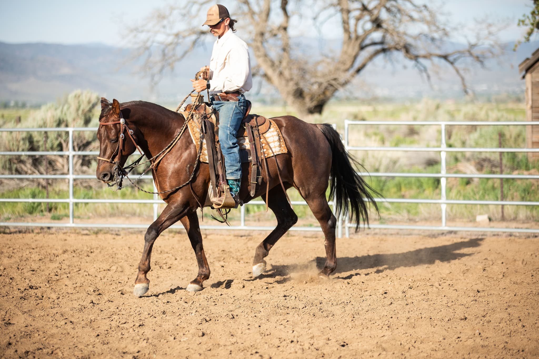 ROYAL TEXAN BOONIE - Image 5
