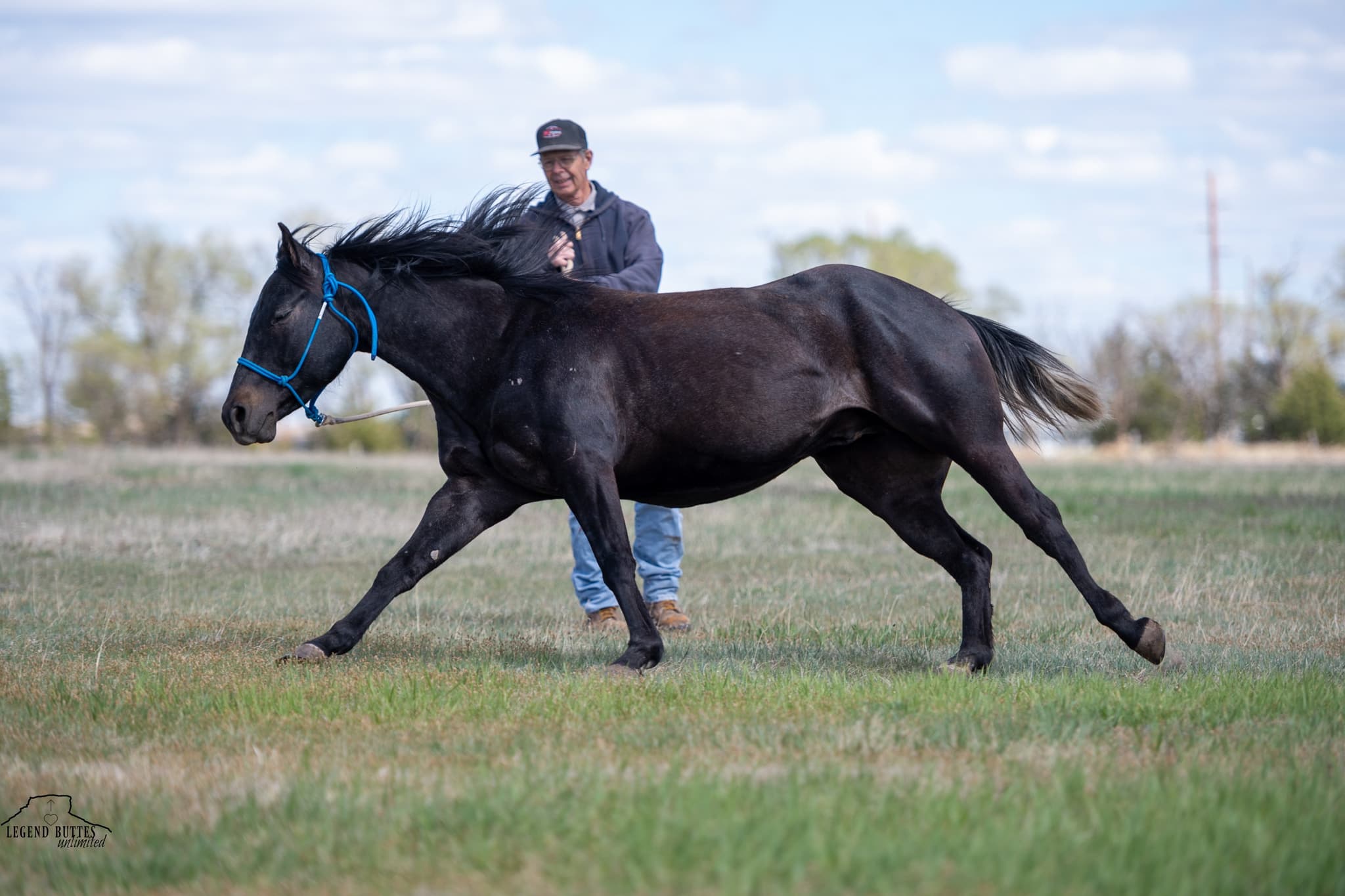 BOON BOUDREAUX - Image 9