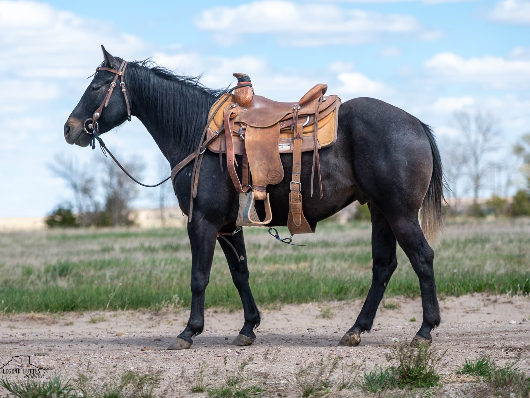 BOON BOUDREAUX - Image 12