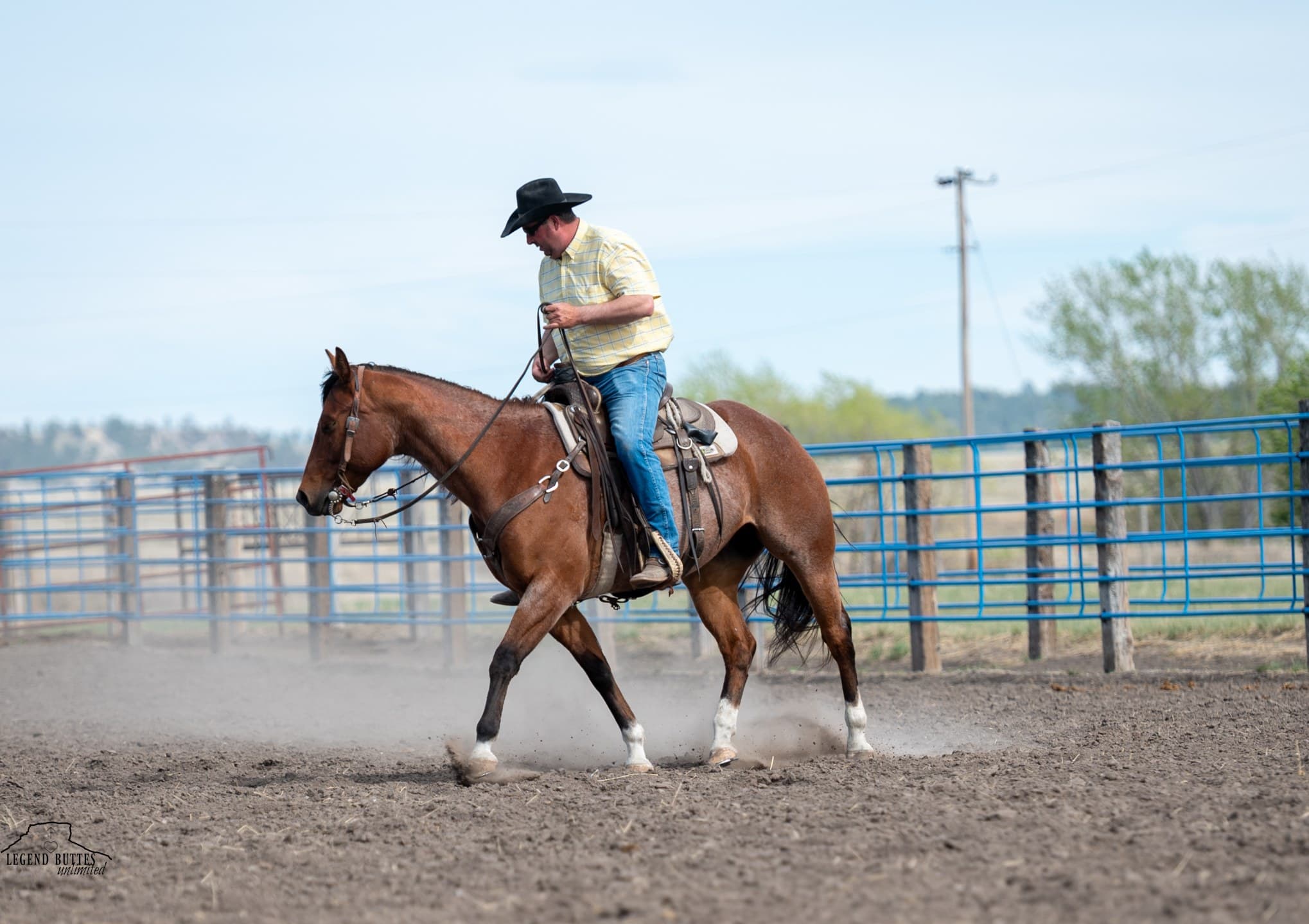 JACK N SHINE - Image 10