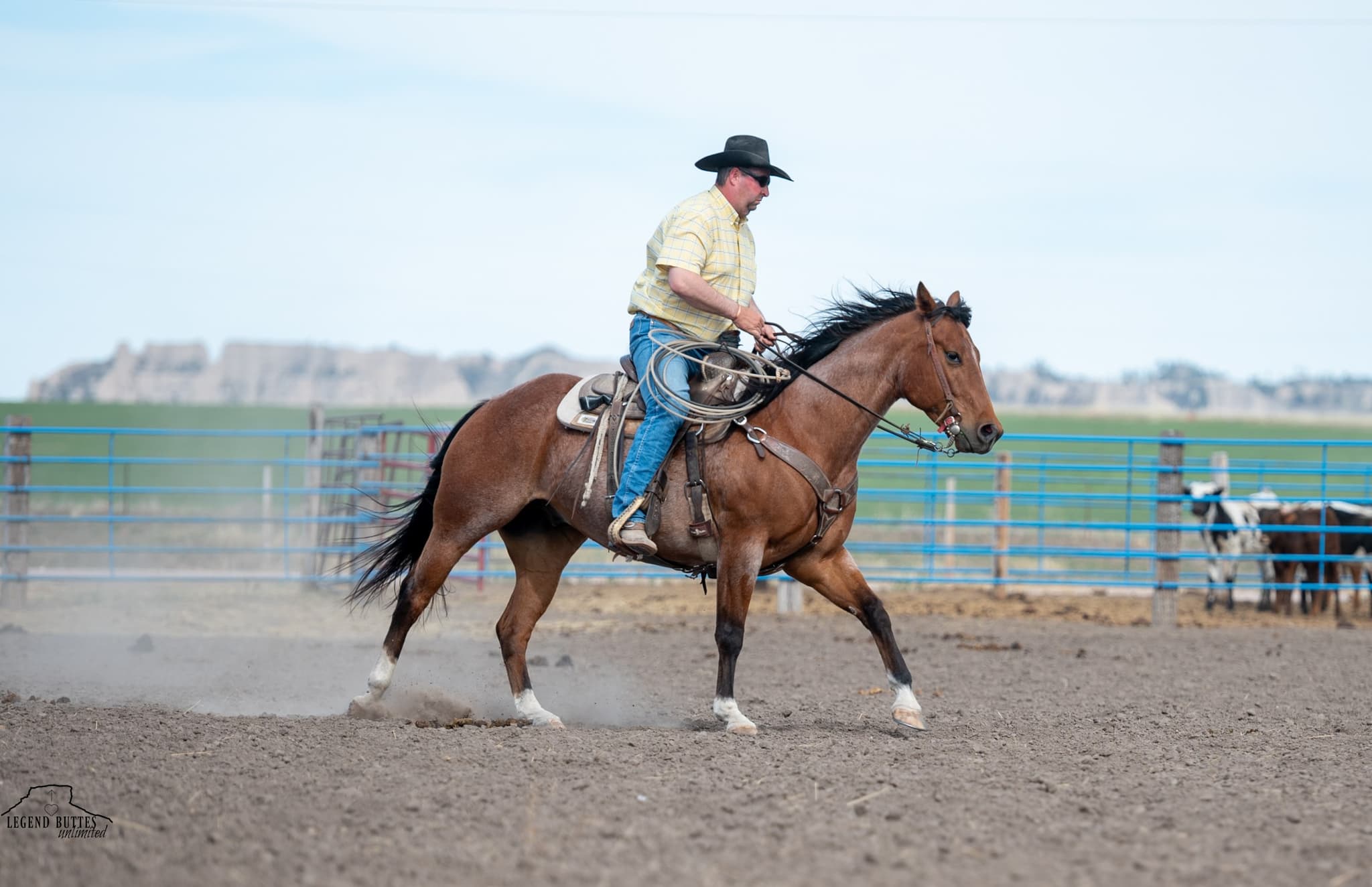 JACK N SHINE - Image 11